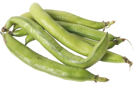 La féve 1 kg- الفول