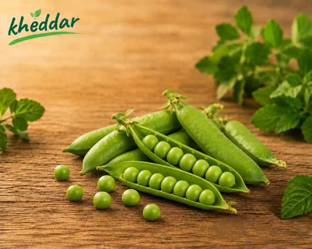 Petit pois – جلبانة (1kg)