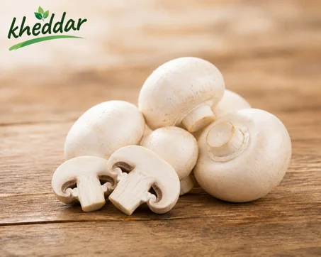 Champignon Blanc - 500g  فطر أبيض