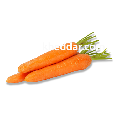 CAROTTE  1KG – جزر