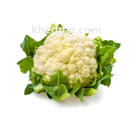 CHEFLOUR 1 kg– شفلور