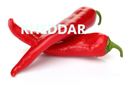 POIVRON ROUGE 1kg– فلفل احمر