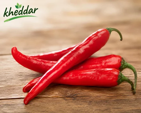 Piment fort – فلفل حار (250 g)