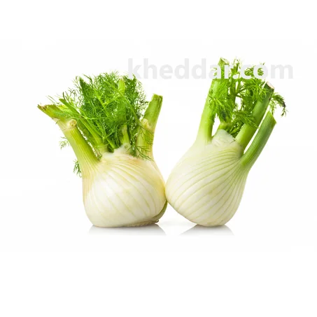 FENOUIL 1kg – بسباس