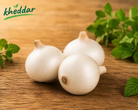Oignon blanc 1 KG– بصل بيضاء