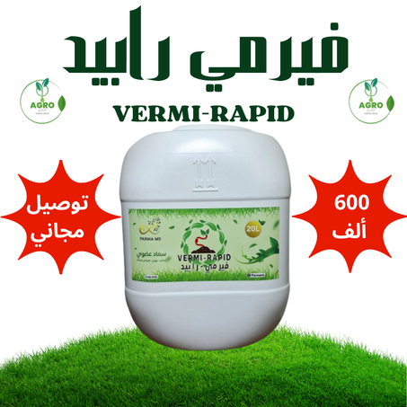 فيرمي رابيد