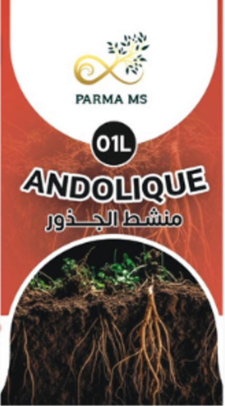 اندوليك منشط الجذور