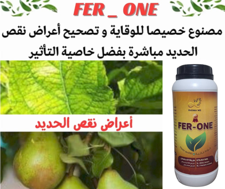 سماد الحديد الحل المثالي