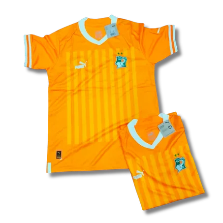 Maillot Original de Côte d'Ivoire DOMICILE — Version Pro écussons en GOMME
