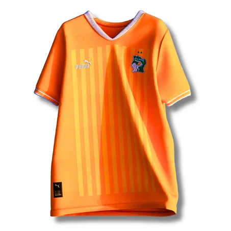 Maillot Original de Côte d'Ivoire DOMICILE — Version supporteur écussons en broderie
