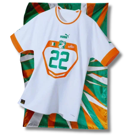 Maillot Original de Côte d'Ivoire EXTERIEUR — Version Pro écussons en GOMME