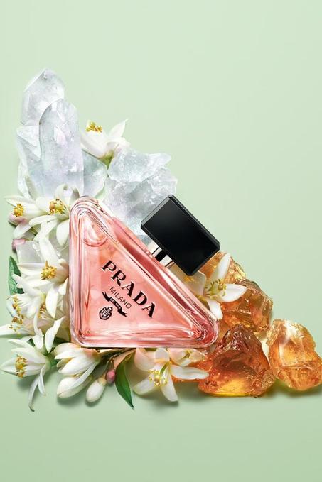 Prada Paradoxe Prada