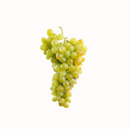 Raisin blanc – عنب أبيض
