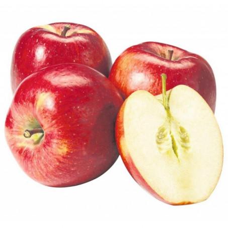 POMME ROUGE – تفاح أحمر