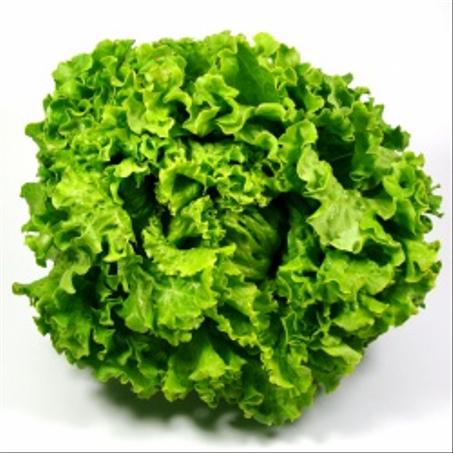 salade feuille de chine