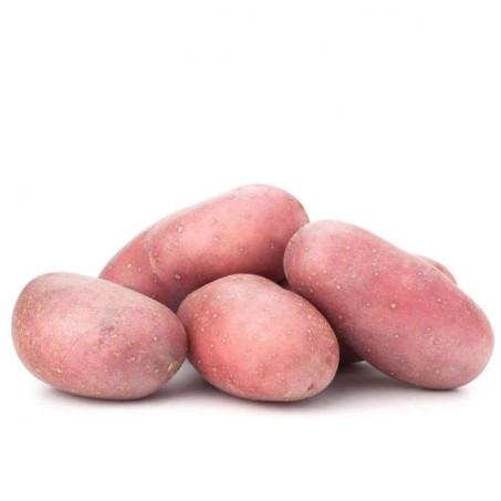 POMME DE TERRE ROUGE – بطاطس حمراء