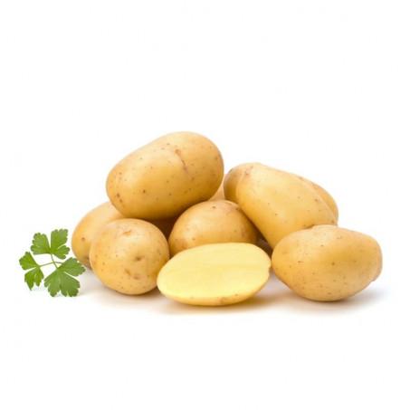 POMME DE TERRE BLANCHE – بطاطس بيضاء