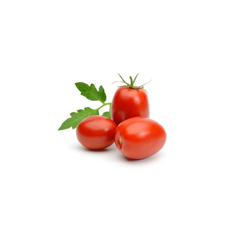 stores/58607333b6d9a9cb057008c647a7615f/products/TzN0HVabueY6IEFYb4YlLfxPi1X5FcPiGX78XhQc.jpg