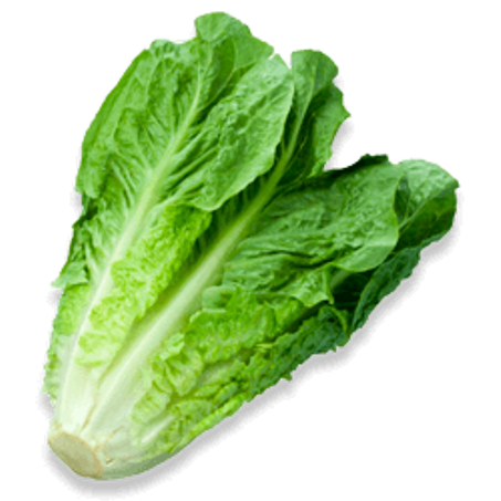salade romaine