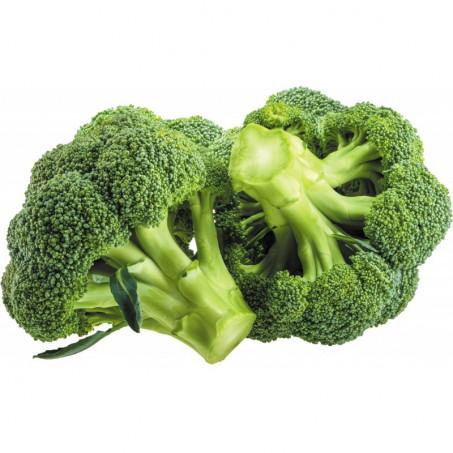 BROCCOLI – بروكلي