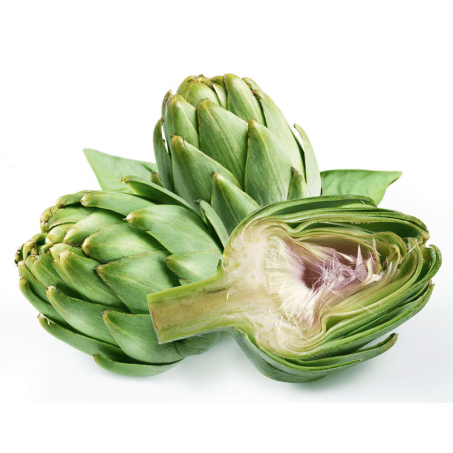 stores/58607333b6d9a9cb057008c647a7615f/products/Y0Nj6Ixh6y50nvFr6h4lYXxcoVfDOaJFlhriOTzQ.png