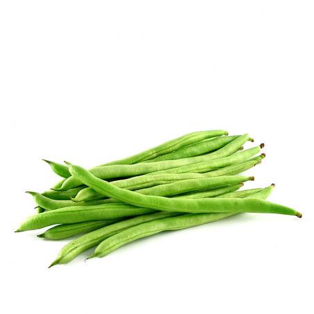 HARICOT VERT – لوبيا خضراء