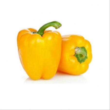 POIVRON JAUNE – فلفل اصفر