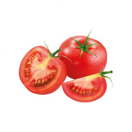 TOMATE – طماطم