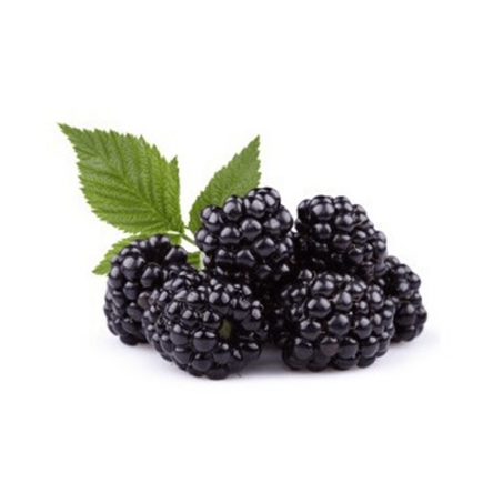 stores/58607333b6d9a9cb057008c647a7615f/products/lAJXd8UZoQKMVAkPTxJQb0bmWP1c0uk1xuLH9duz.png