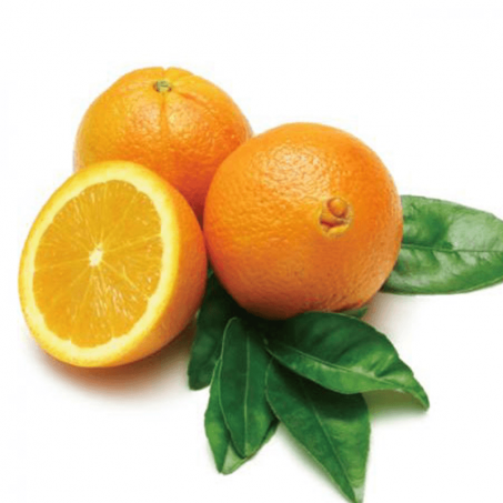 ORANGE DE TABLE – برتقال المائدة