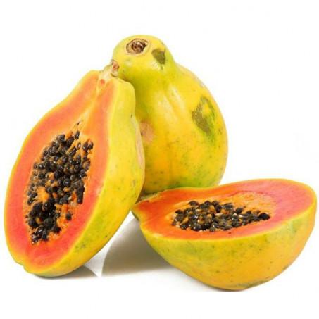 PAPAYE – باباي