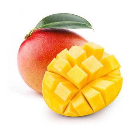 MANGUE – مانكَا
