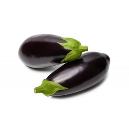 AUBERGINE – باذنجان