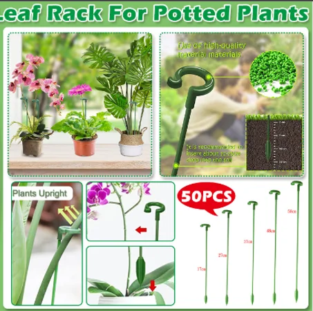 تقويم النباتات 50 قطعة