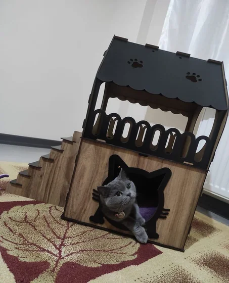🐱  منزل للقطط 🐱
