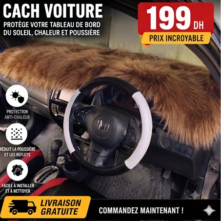 cach tableu voiture - fourrure