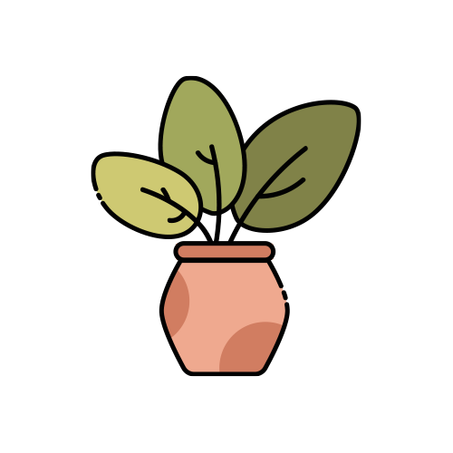 المنزل و الديكور