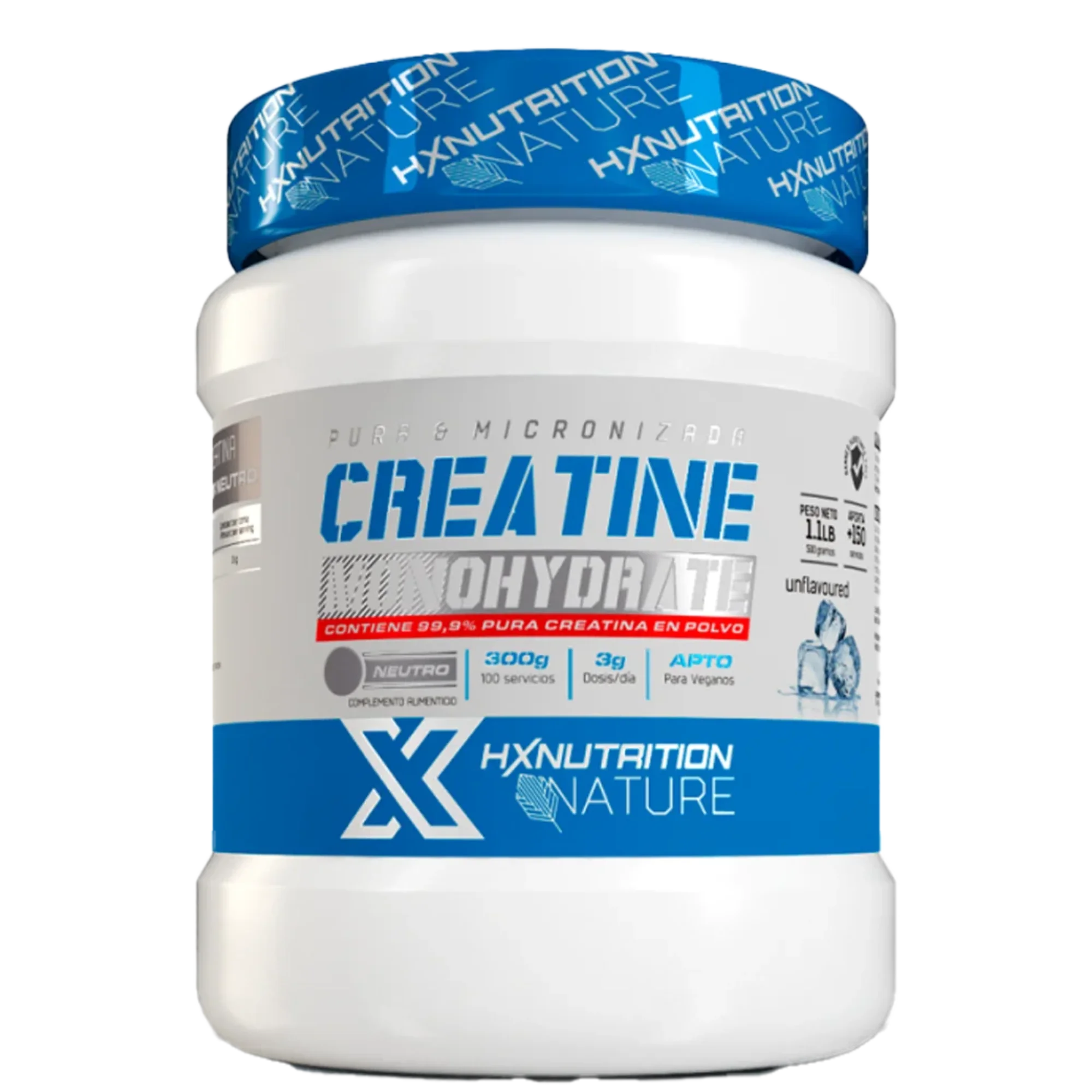 Creatine Monohydrate Micronisee 300g – HXNUTRITION
