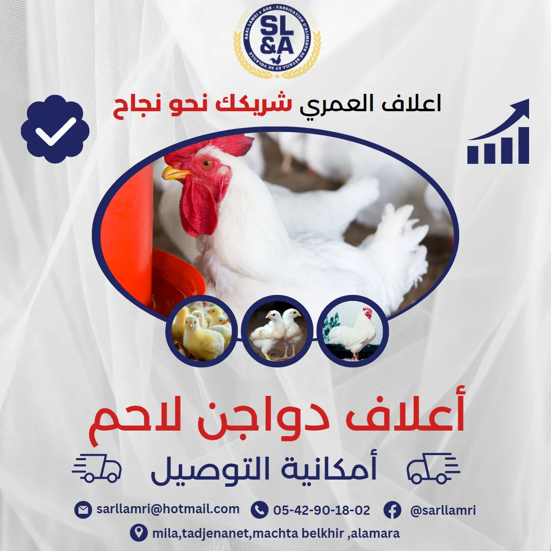 أعلاف الدجاج الاحم