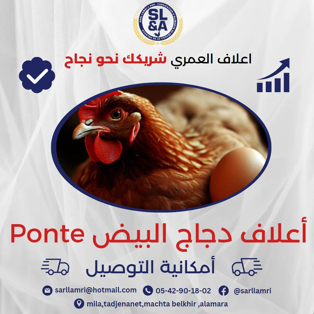 أعلاف دجاج البياض