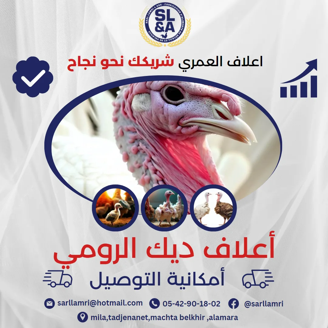 أعلاف الديك الرومي الاحم