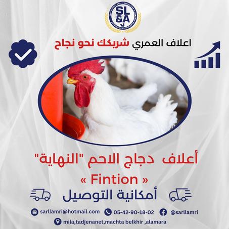 أعلاف دجاج الاحم مرحلة النهاية « Fintion »
