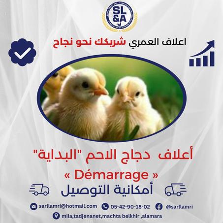 أعلاف  دجاج الاحم "البداية" « Démarrage »