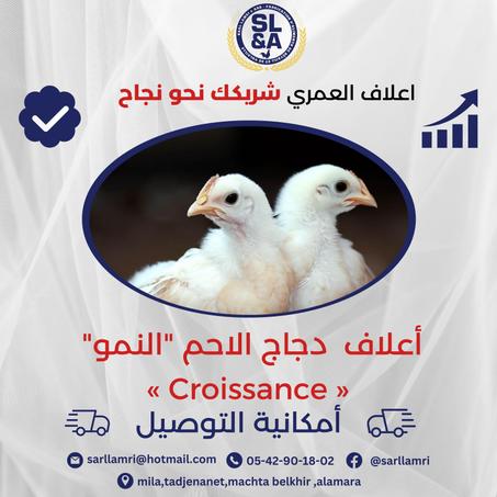 أعلاف  دجاج الاحم مرحلة  النمو  « Croissance »