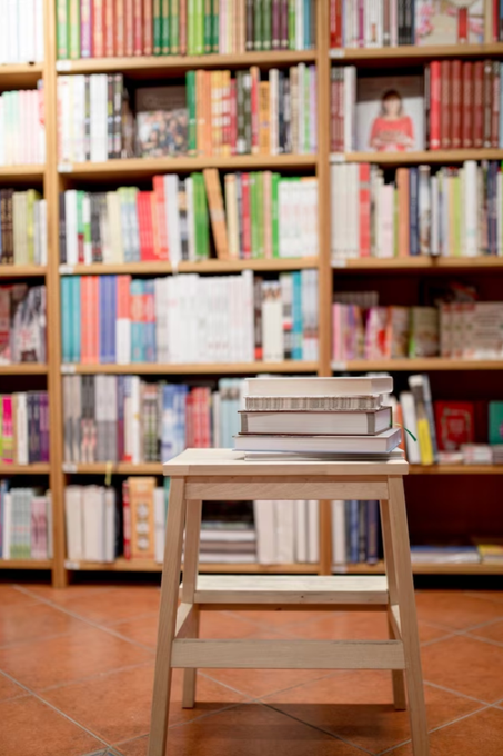 Romans étrangers / Livres DES ENFANTS