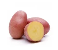 البطاطس