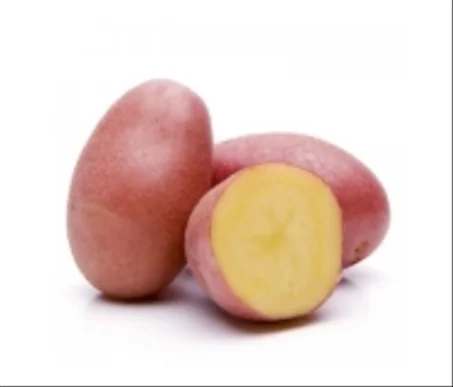 البطاطس
