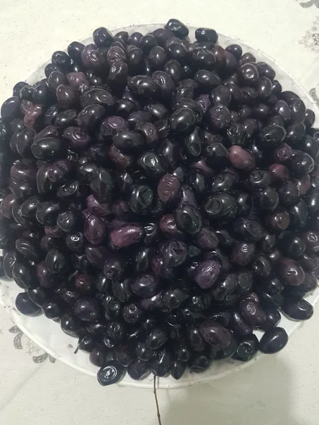 الزيتون الأسود