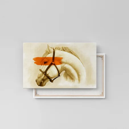 HORSE ORANGE STROKE