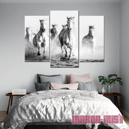 BLACK&WHITE HORSES